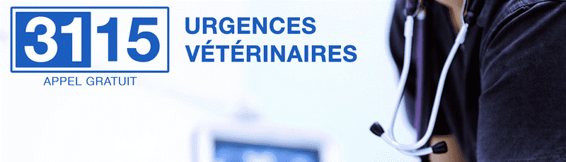 urgence veterinaires