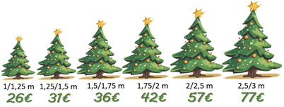 Sapins