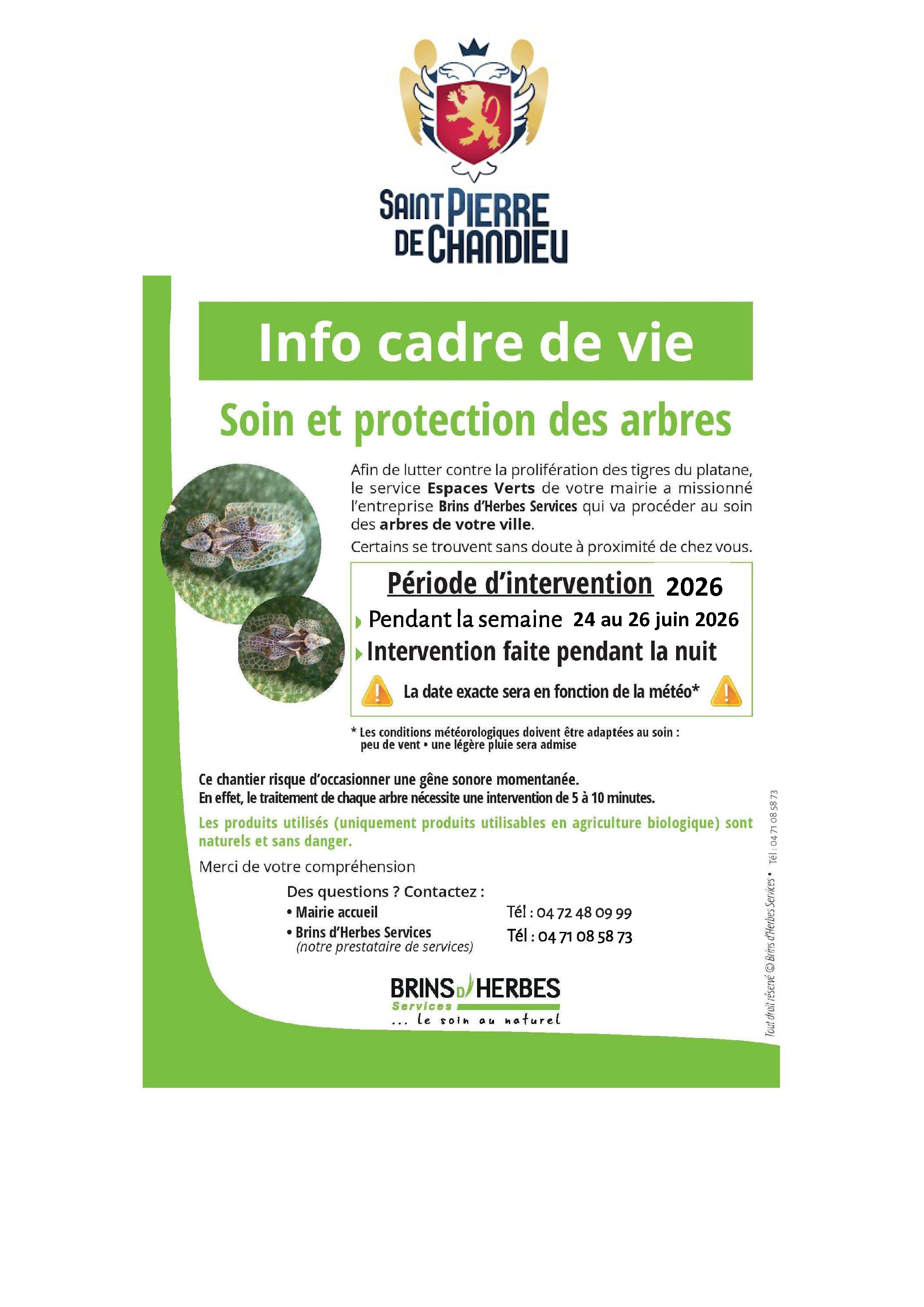 Traitement des Platanes contre le moustique tigre
