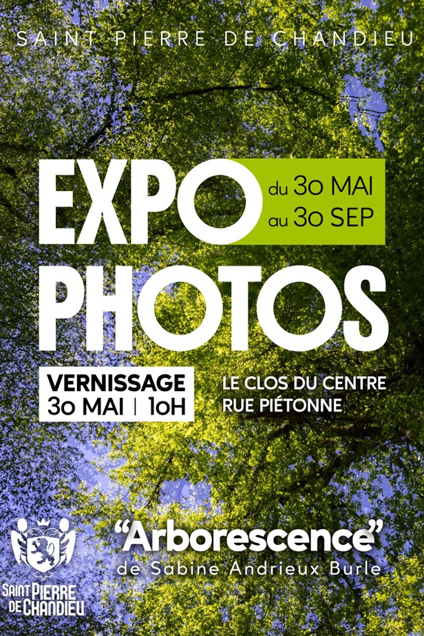 Expo photos "Arborescence"