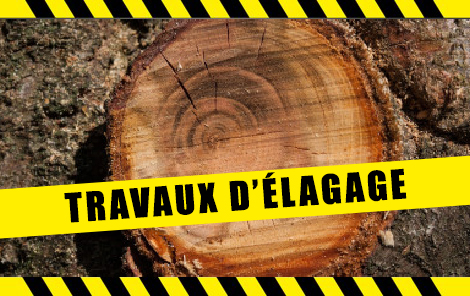 Travaux d’élagage et abattage 2026