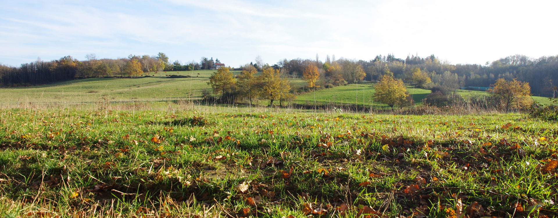 Un village à la campagne
